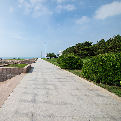 Drogi betonowe Gdynia