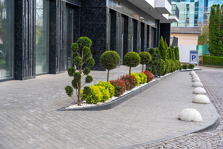 Kostka brukowa i mały-ogródek